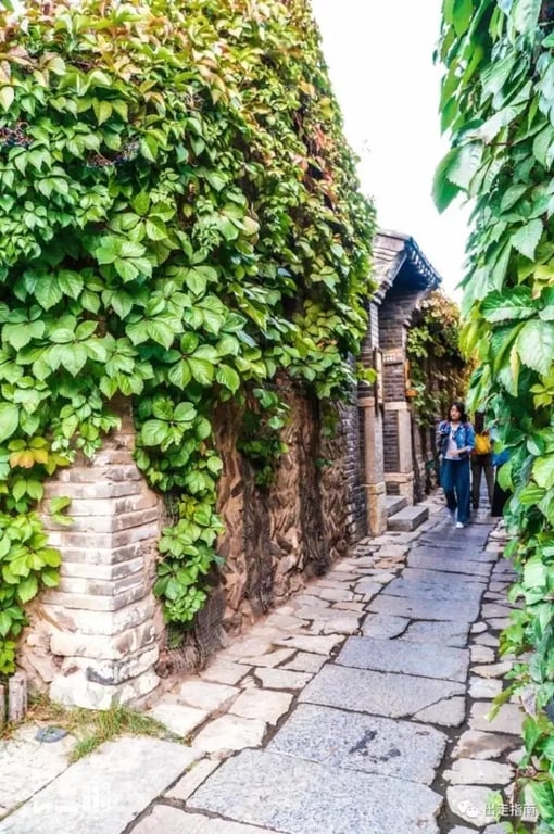 A narrow stone lane between vine-covered walls