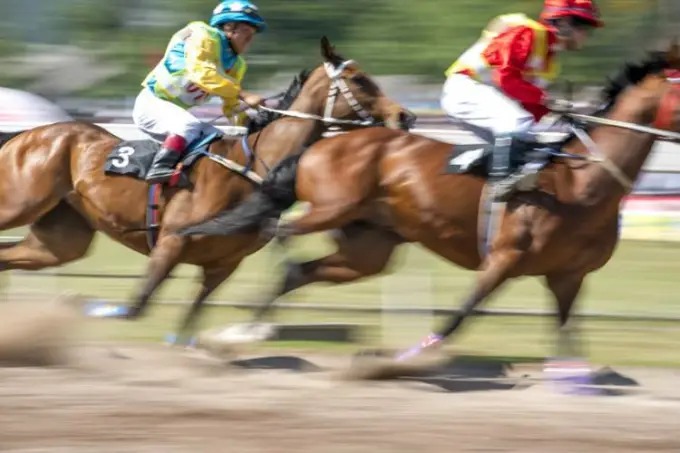 Cavaleiros disputam uma corrida na pista com o fundo borrado pelo movimento