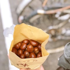 Roasted chestnuts in a paper bag