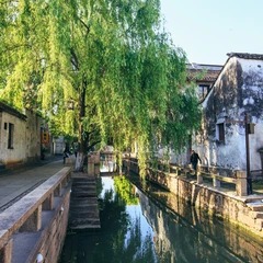 Weiden, Kanal und weiße Häuser an der Pingjiang-Straße