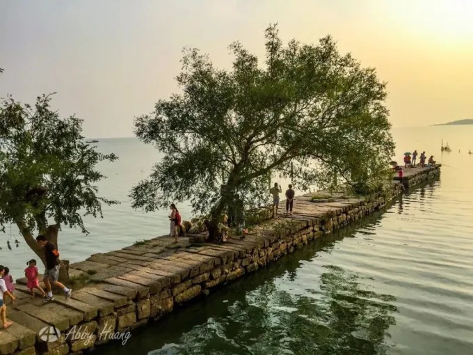 Steinsteg und belaubter Baum am offenen Tai-See