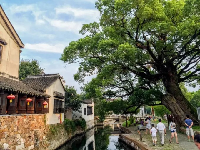 Großer alter Baum am Dorfkanal und Menschen am Weg